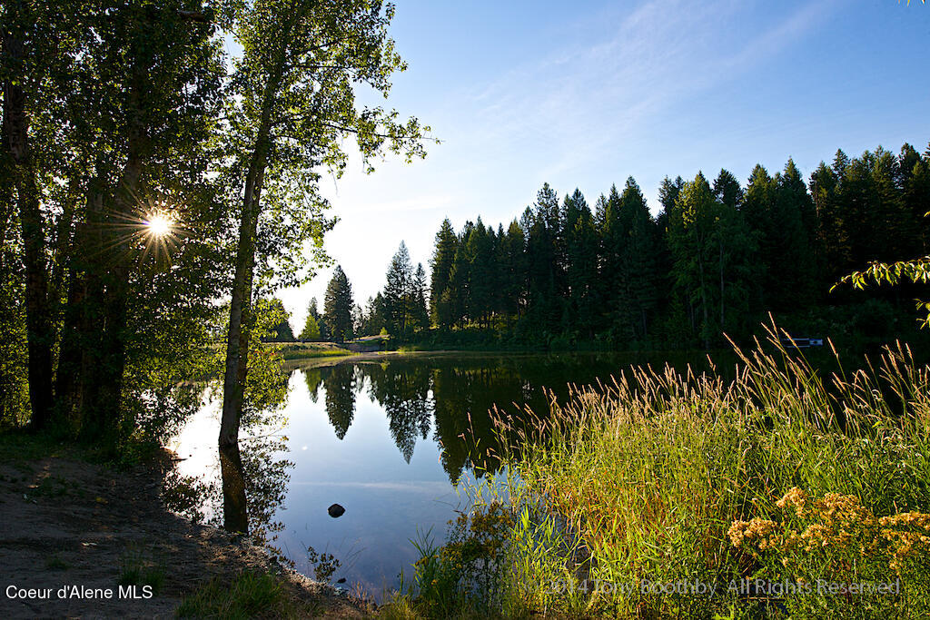 13 Bogie Lane Blanchard, ID 83804 - Photo 26 of 27 DSC5512-5