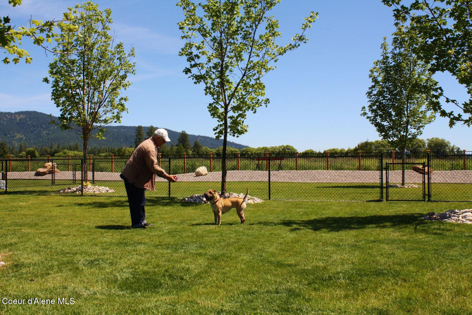 13 Bogie Lane Blanchard, ID 83804 - Photo 7 of 27 dog-park