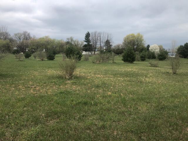 1345 Taft Road Remus, MI 49340 - Photo 3 of 5 3