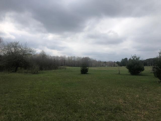 1345 Taft Road Remus, MI 49340 - Photo 4 of 5 4