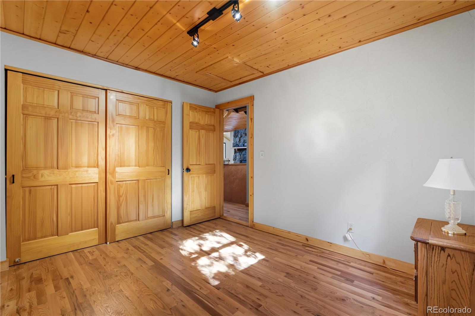 401 Lake Road Idaho Springs, CO 80452 - Photo 20 of 47 a view of a livingroom with wooden floor