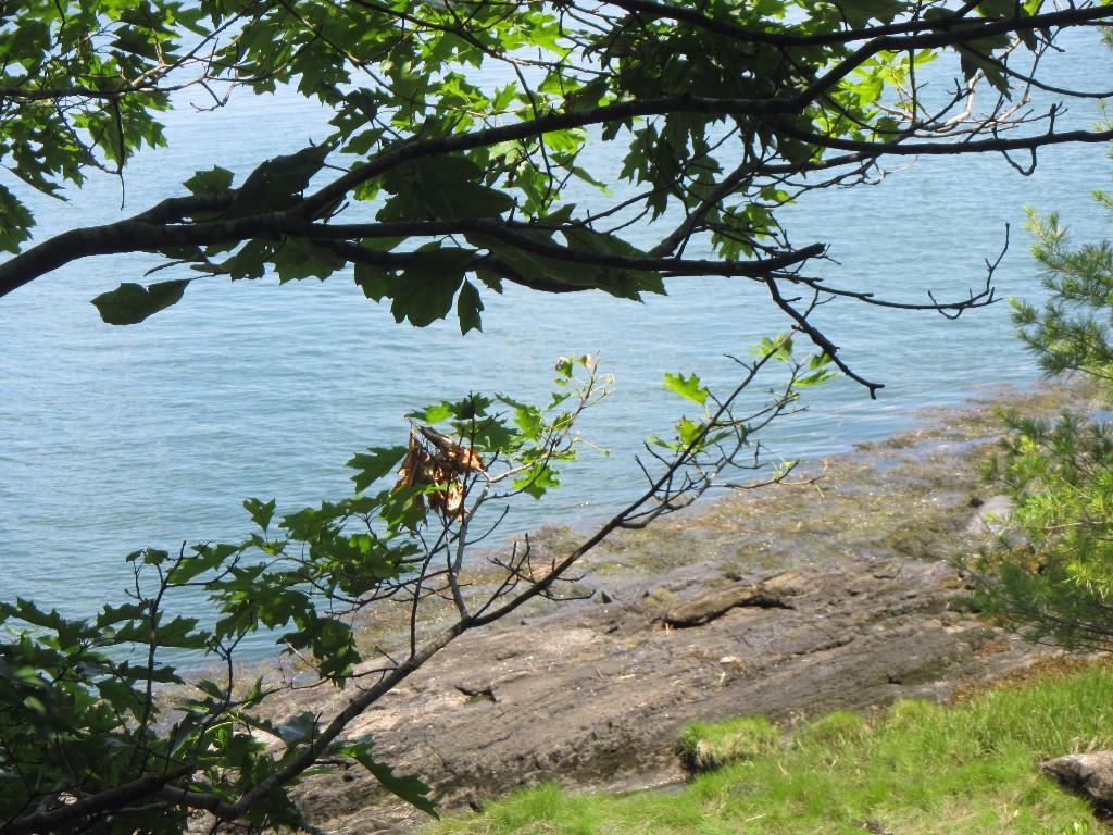 67 Brooks Point Road Westport Island, ME 04578 - Photo 14 of 22 Photo