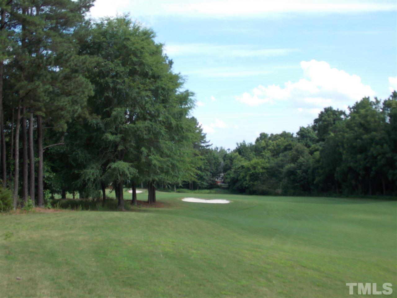 12233 Beestone Lane Raleigh, NC 27614 - Photo 25 of 25 a view of green field with trees in the background