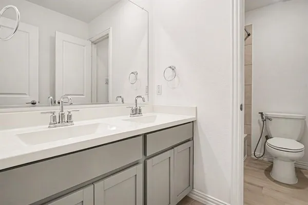 a bathroom with a sink and a toilet