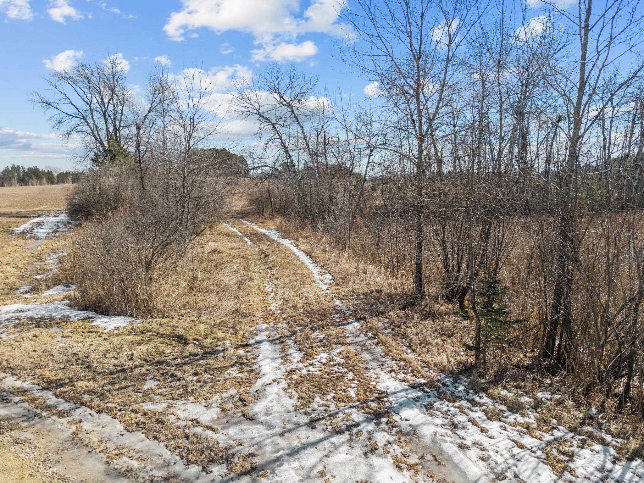 Alberts Road Clintonville, WI 54929 - Photo 4 of 14
