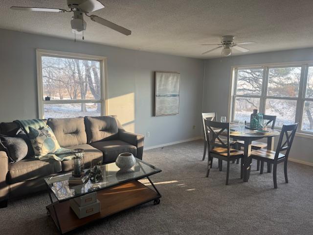 16442 460th Street Zumbrota, MN 55992 - Photo 24 of 45