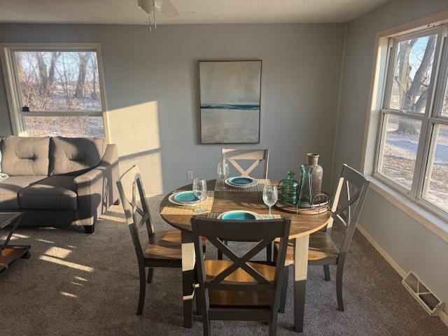 16442 460th Street Zumbrota, MN 55992 - Photo 25 of 45