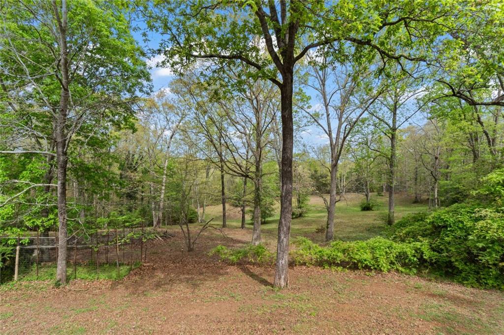 4985 Truman Mountain Road Gainesville, GA 30506 - Photo 37 of 41