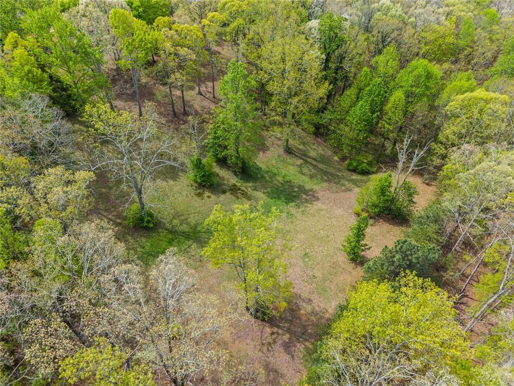 4985 Truman Mountain Road Gainesville, GA 30506 - Photo 40 of 41