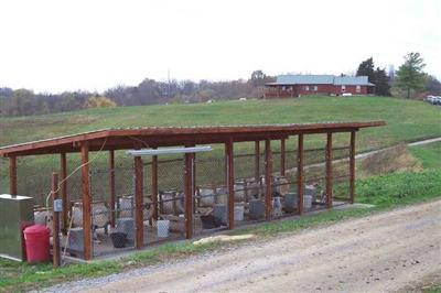 260 Galilee Road Lancaster, KY 40444 - Photo 27 of 29 Dog pens,