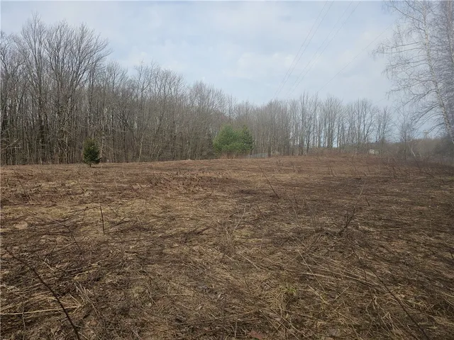 $298,000 | 175 Bremm Road, Boylston, NY 13083