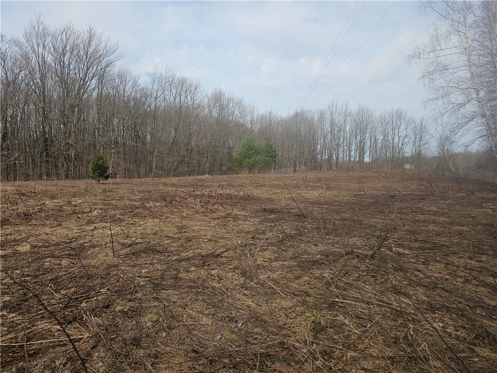 175 Bremm Road Boylston, NY 13083 - Photo 18 of 32