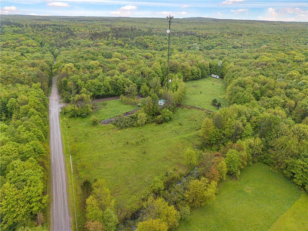 175 Bremm Road Boylston, NY 13083 - Photo 20 of 32