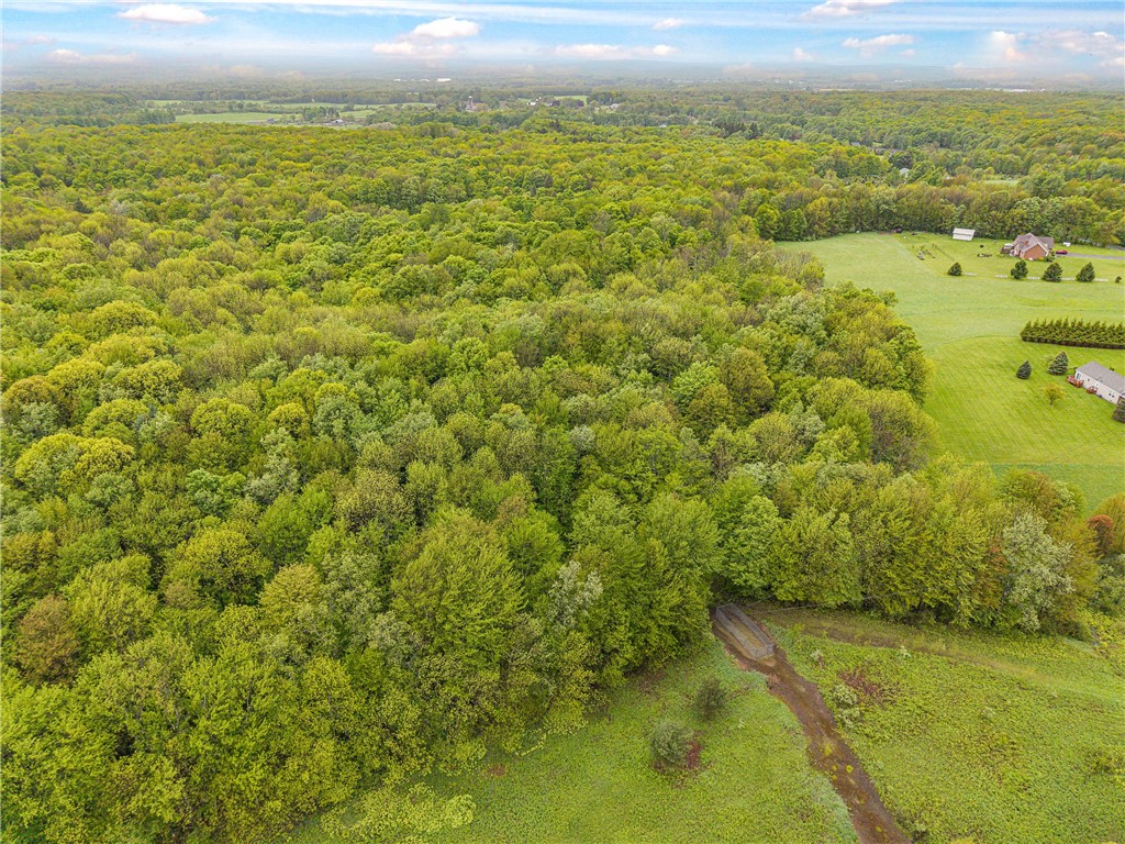 175 Bremm Road Boylston, NY 13083 - Photo 22 of 32