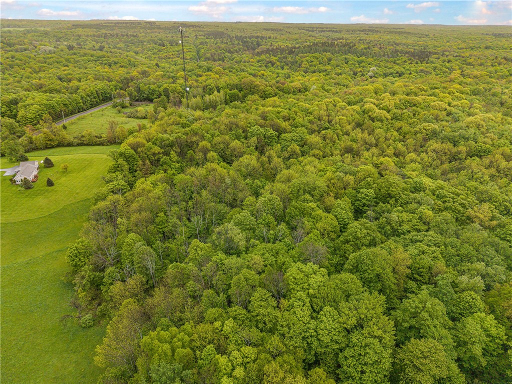 175 Bremm Road Boylston, NY 13083 - Photo 23 of 32