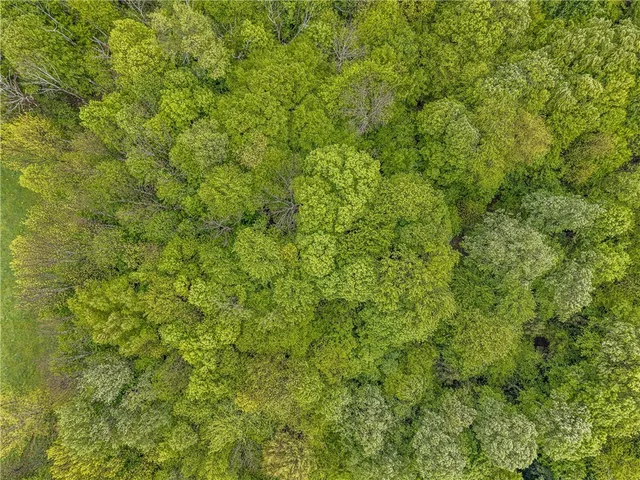 $298,000 | 175 Bremm Road, Boylston, NY 13083