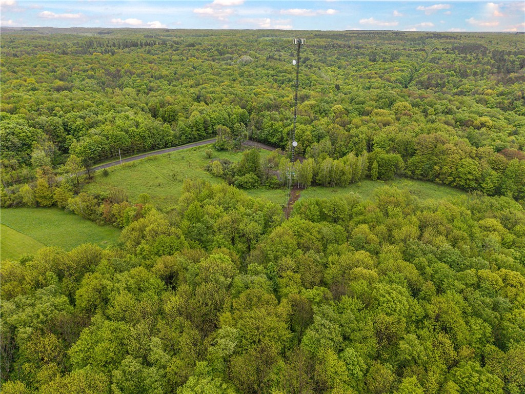 175 Bremm Road Boylston, NY 13083 - Photo 25 of 32