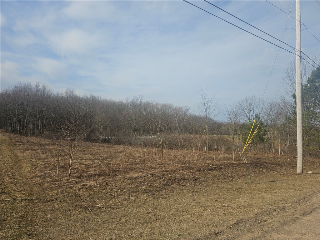 175 Bremm Road Boylston, NY 13083 - Photo 30 of 32