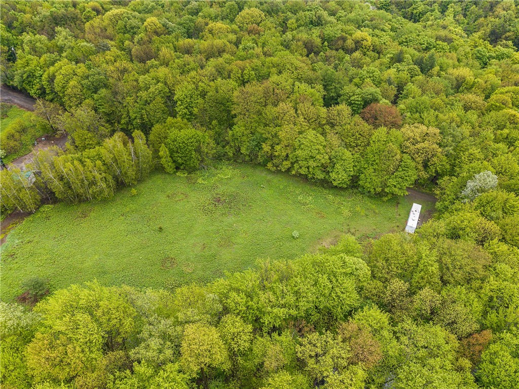 175 Bremm Road Boylston, NY 13083 - Photo 3 of 32