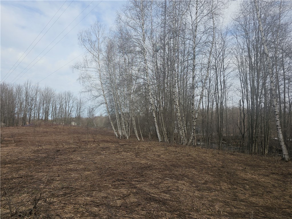 175 Bremm Road Boylston, NY 13083 - Photo 31 of 32