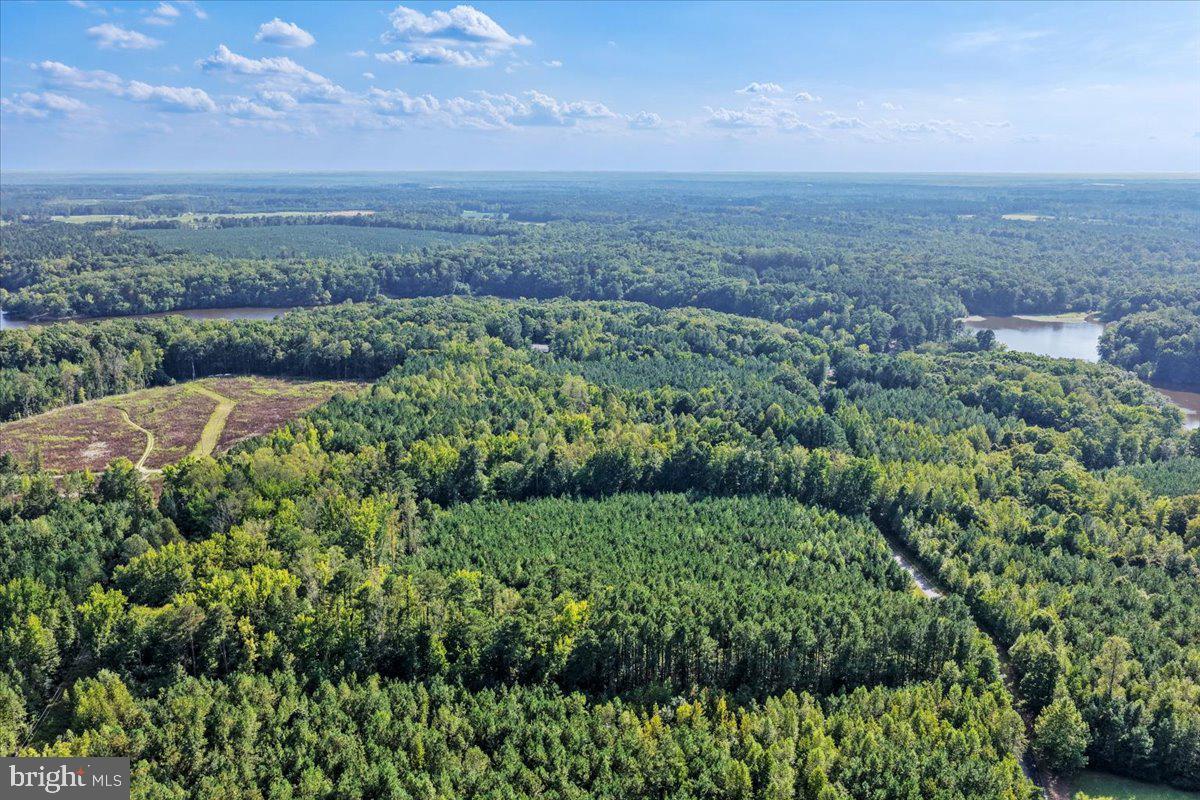 Lot 7-8 County Pond Road Freeman, VA 23856 - Photo 8 of 19 Gallery Image 8