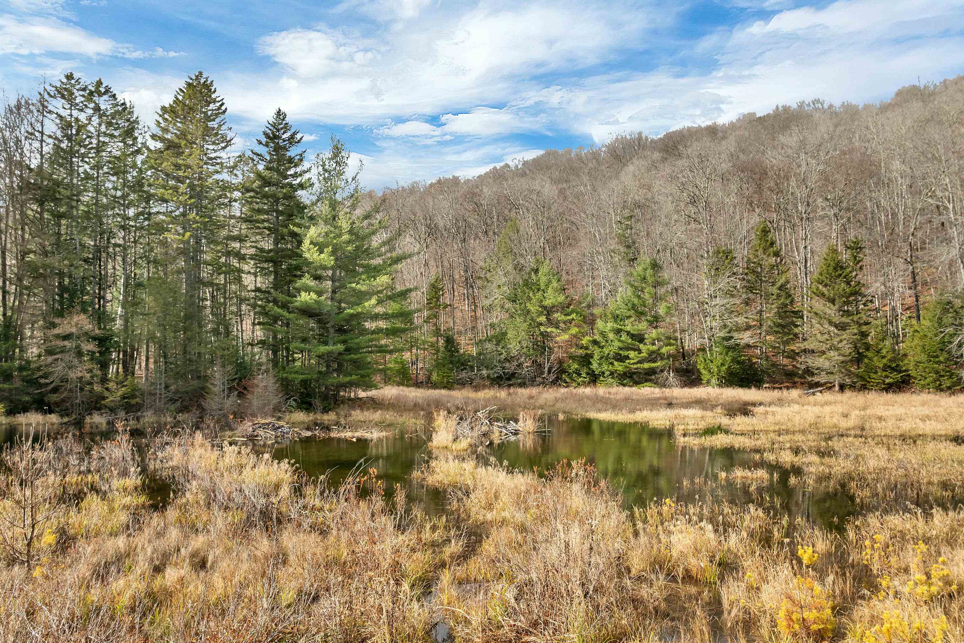 0 Burdock Lane Ludlow, VT 05149 - Photo 12 of 17