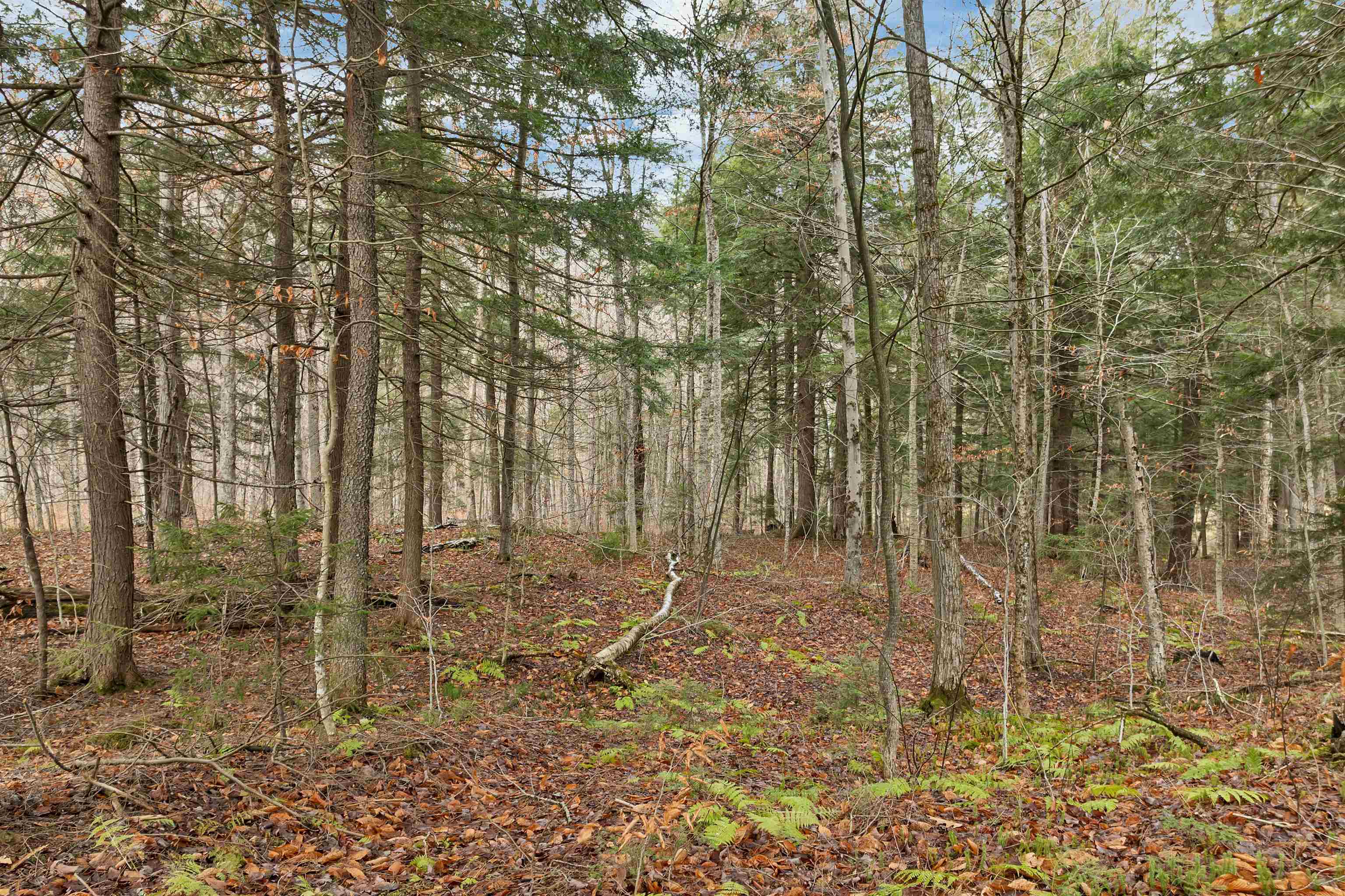 0 Burdock Lane Ludlow, VT 05149 - Photo 13 of 17