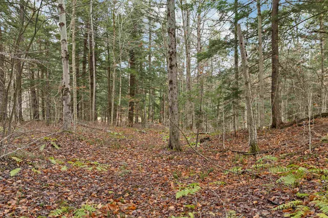 $250,000 | 0 Burdock Lane, Ludlow, VT 05149