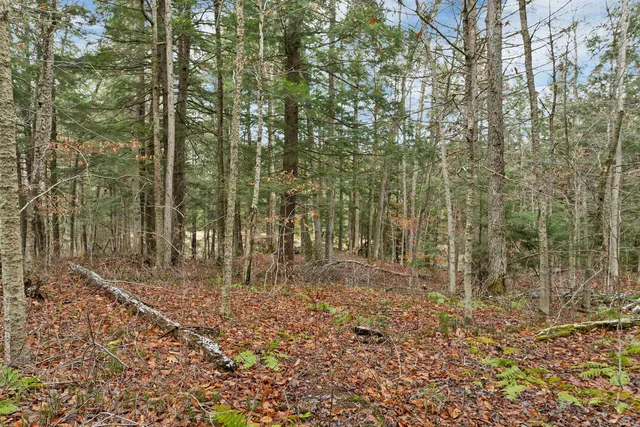 $250,000 | 0 Burdock Lane, Ludlow, VT 05149