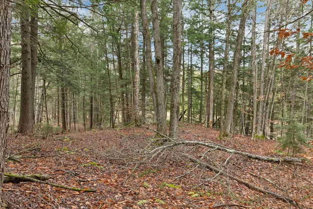 $250,000 | 0 Burdock Lane, Ludlow, VT 05149