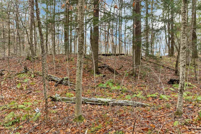 $250,000 | 0 Burdock Lane, Ludlow, VT 05149