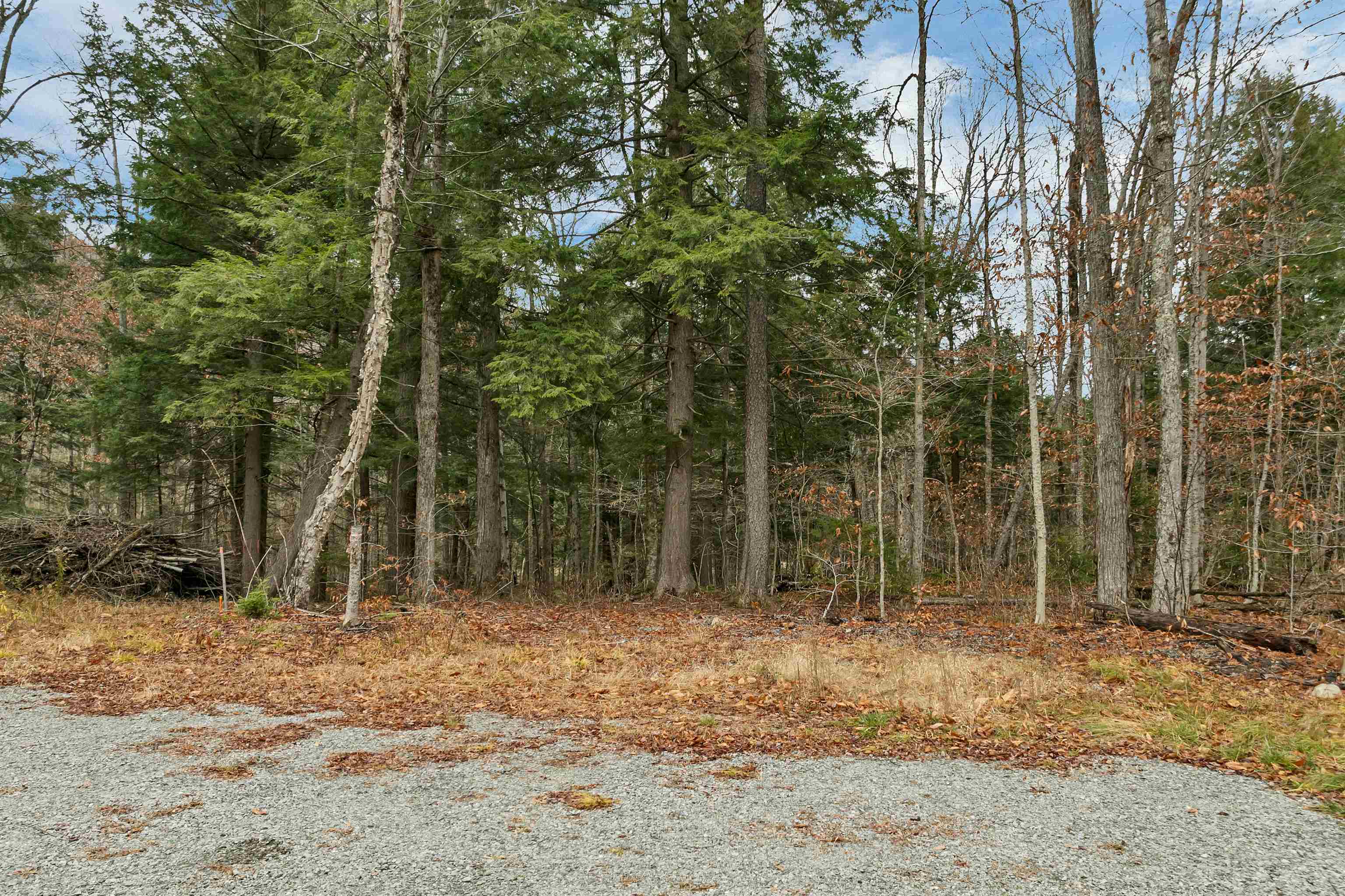 0 Burdock Lane Ludlow, VT 05149 - Photo 3 of 17