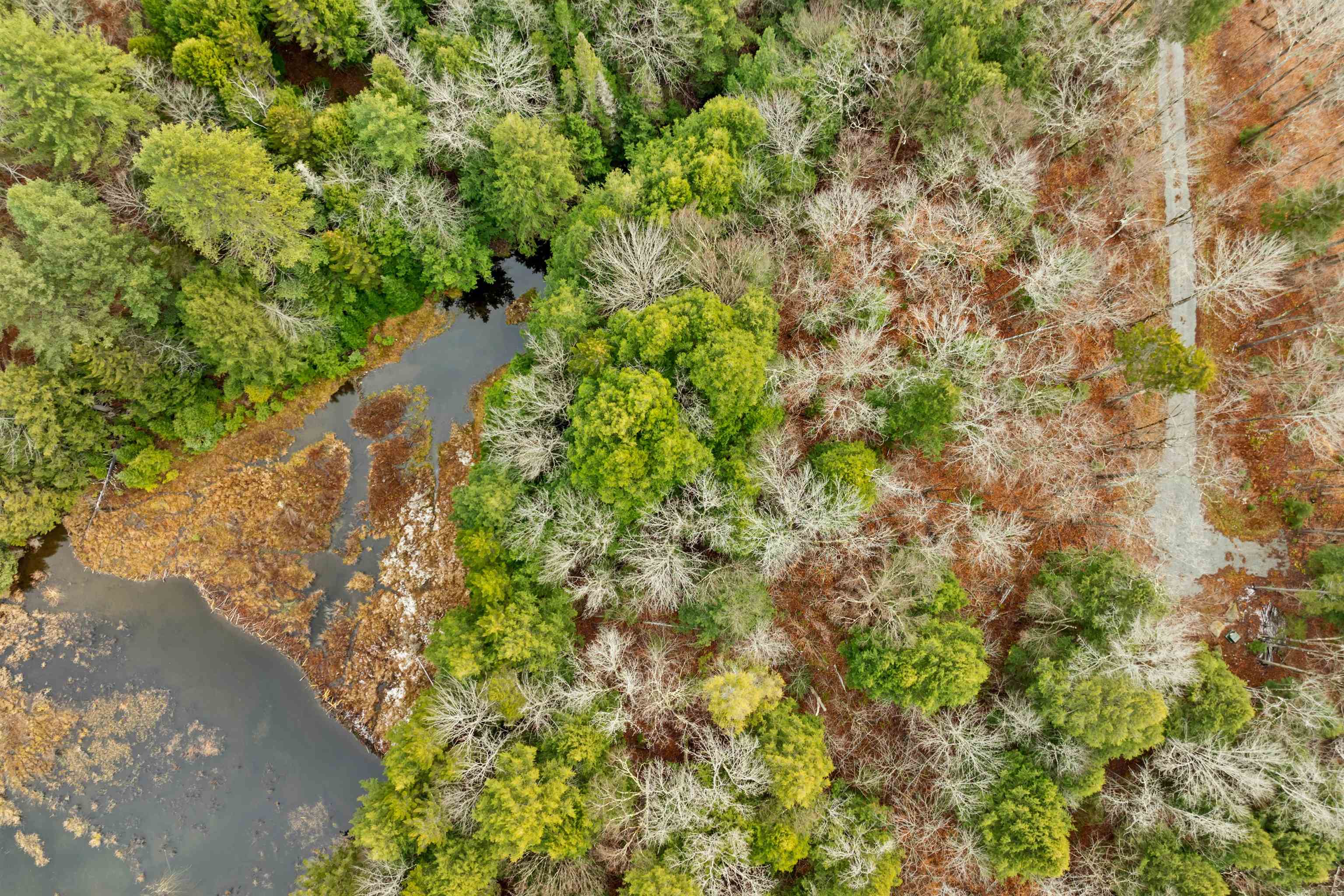 0 Burdock Lane Ludlow, VT 05149 - Photo 8 of 17