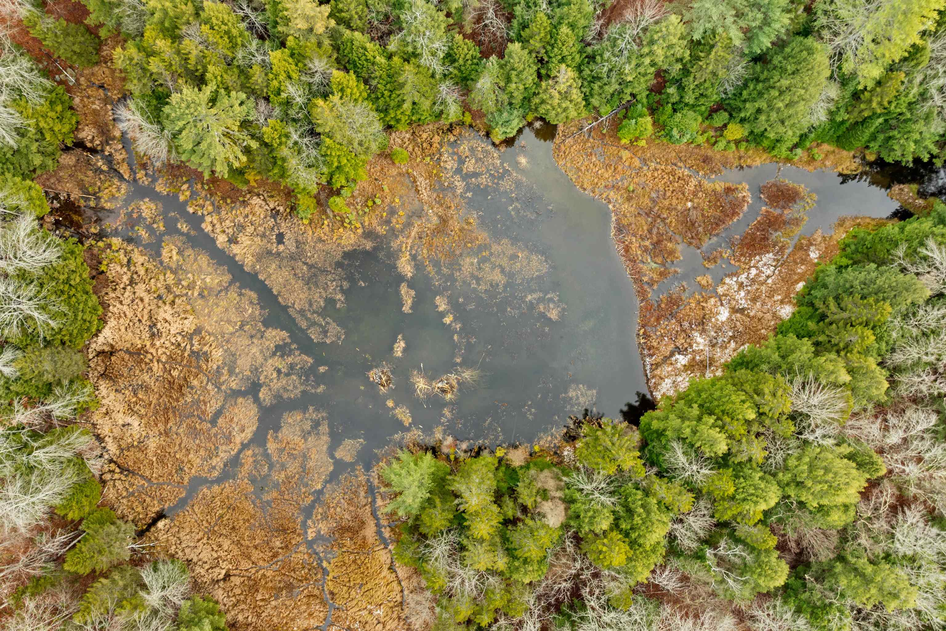 0 Burdock Lane Ludlow, VT 05149 - Photo 9 of 17