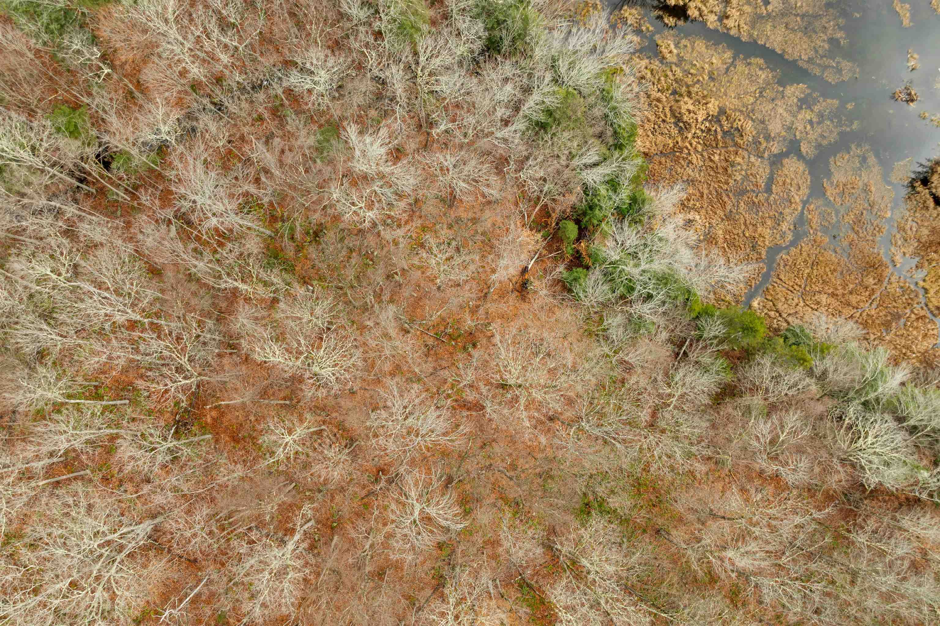 0 Burdock Lane Ludlow, VT 05149 - Photo 10 of 17