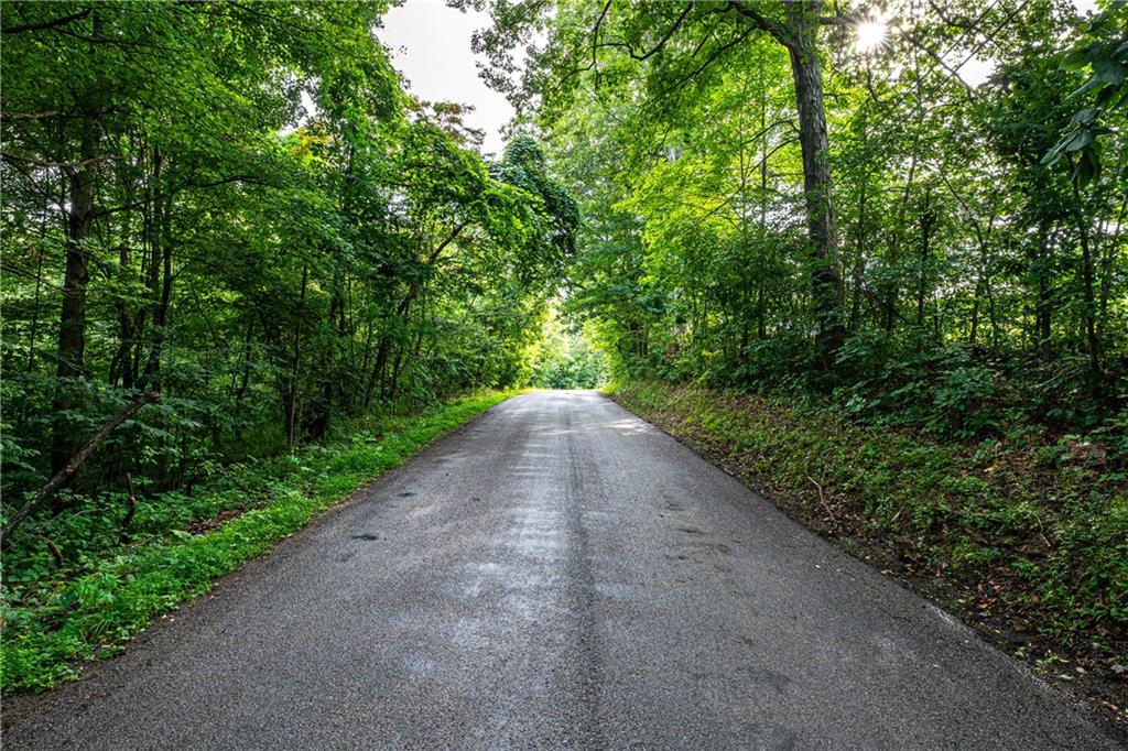 2460 Chapel Road Beaver, PA 15009 - Photo 3 of 42 a view of a plants with large trees
