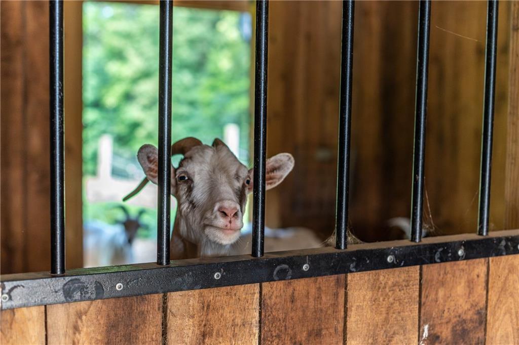 2460 Chapel Road Beaver, PA 15009 - Photo 37 of 42