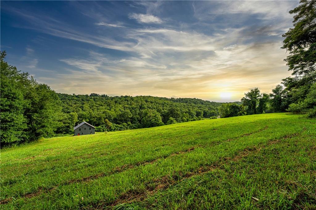2460 Chapel Road Beaver, PA 15009 - Photo 4 of 42 a view of field with tall trees