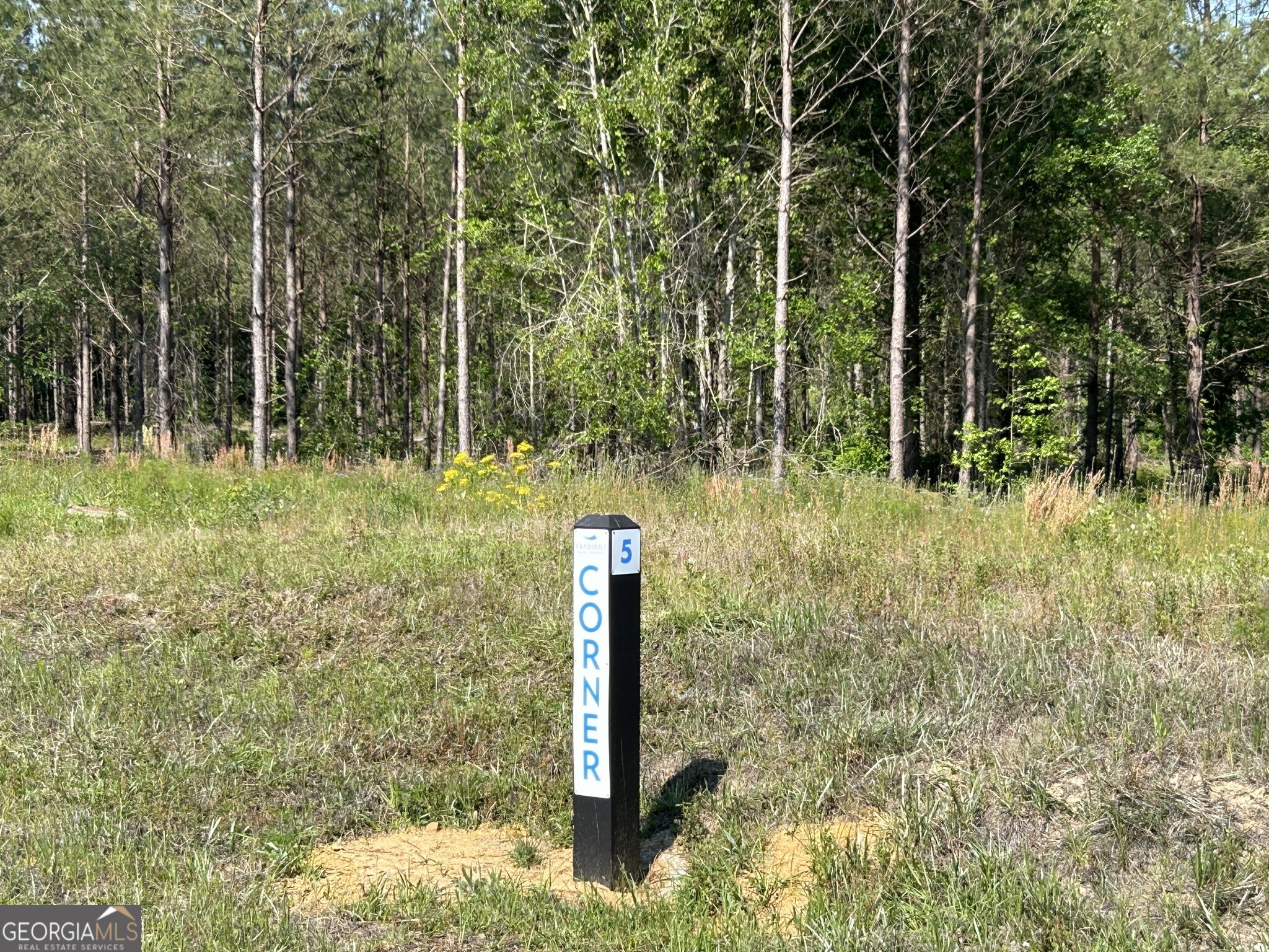 0 Dewey Thomas Road, Unit LOT 5 Dexter, GA 31019 - Photo 6 of 12 a backyard of a house with lots of green space
