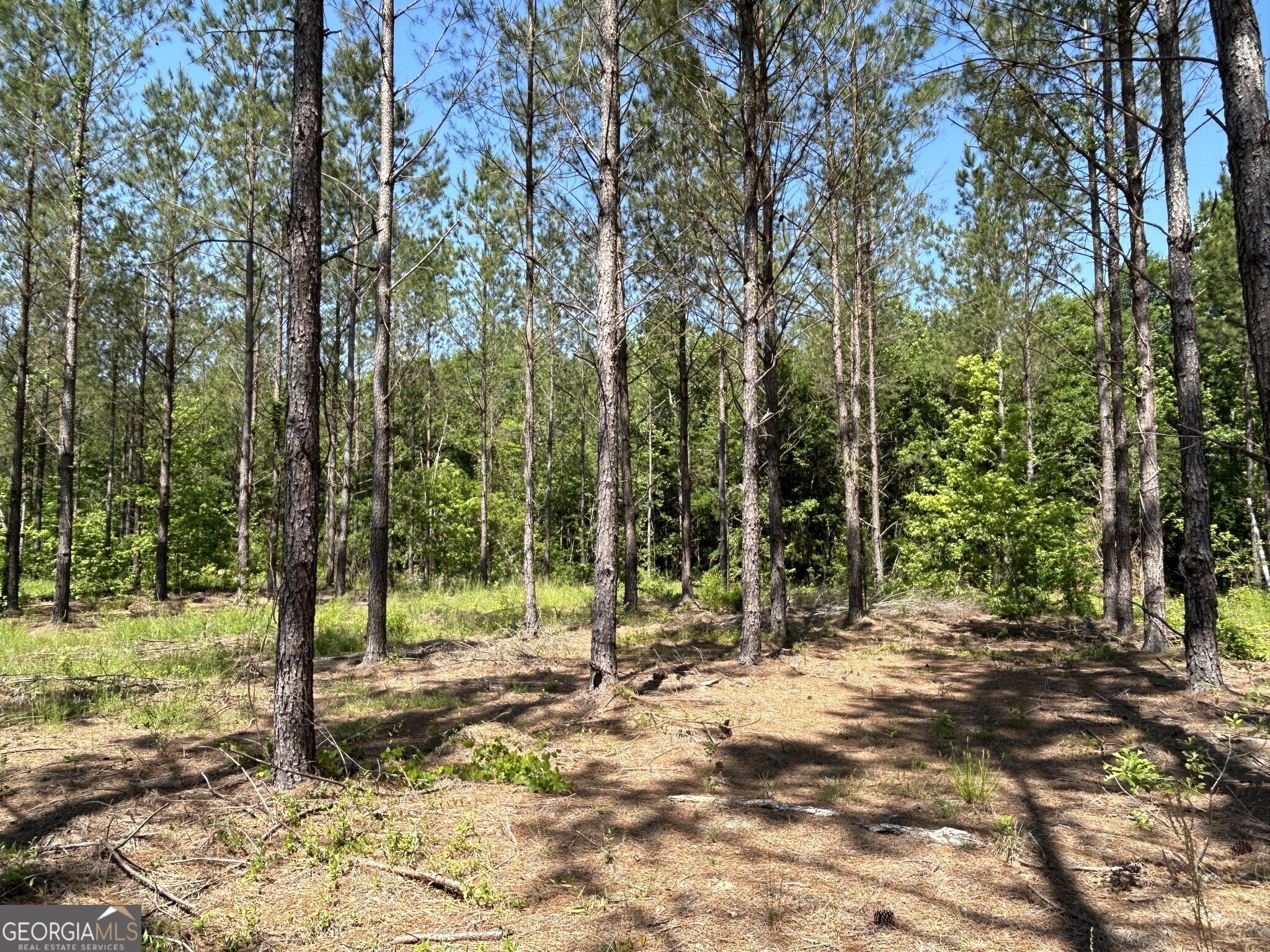 0 Dewey Thomas Road, Unit LOT 5 Dexter, GA 31019 - Photo 8 of 12 a view of outdoor space with sink