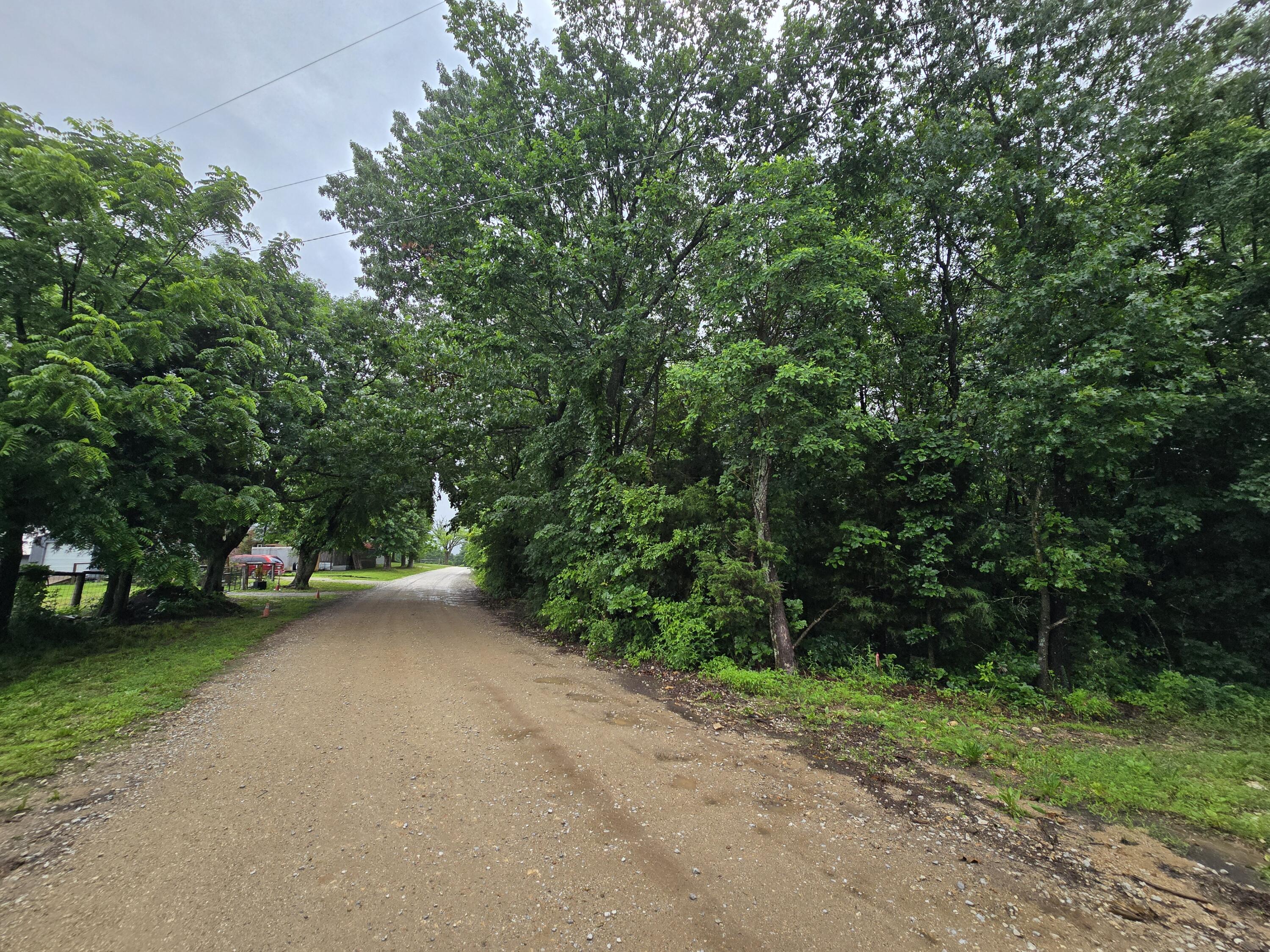 16882 Old Cricket Road West Omaha, AR 72662 - Photo 16 of 20 12