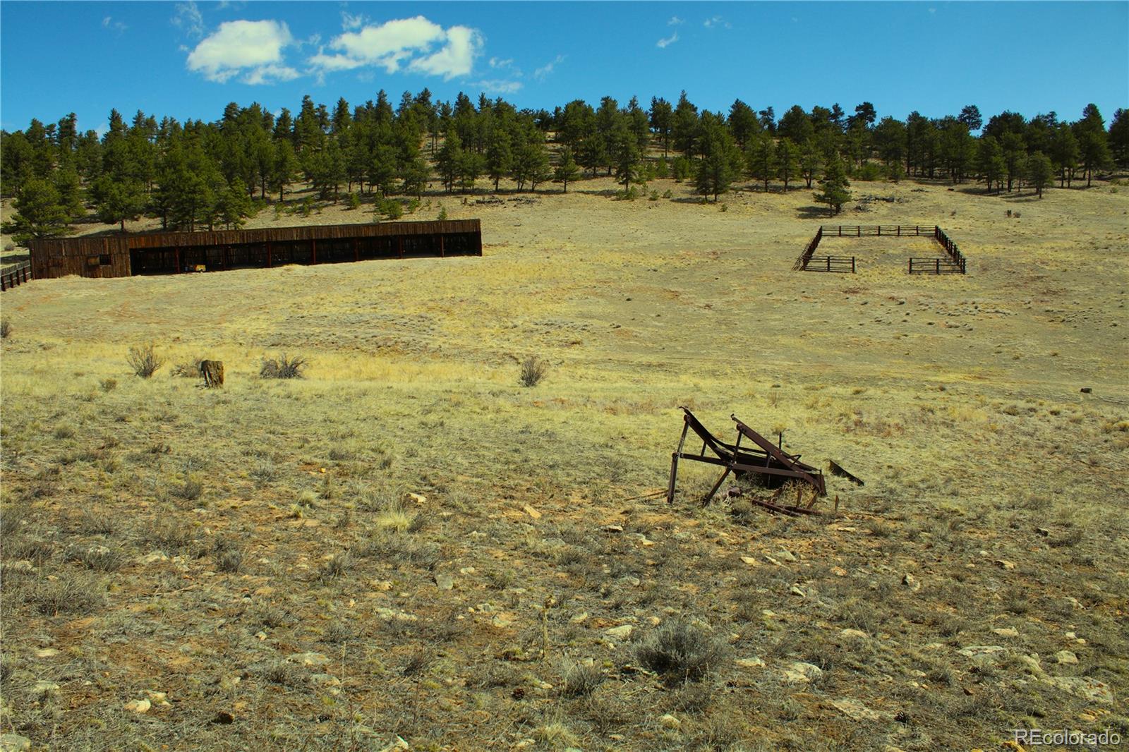 Co-9 Fairplay, CO 80440 - Photo 12 of 13