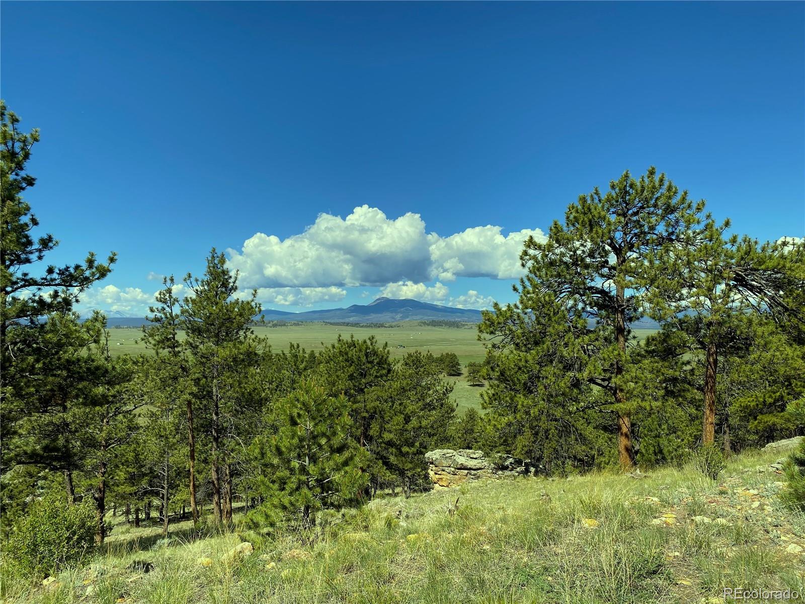 Co-9 Fairplay, CO 80440 - Photo 3 of 13 a view of a garden