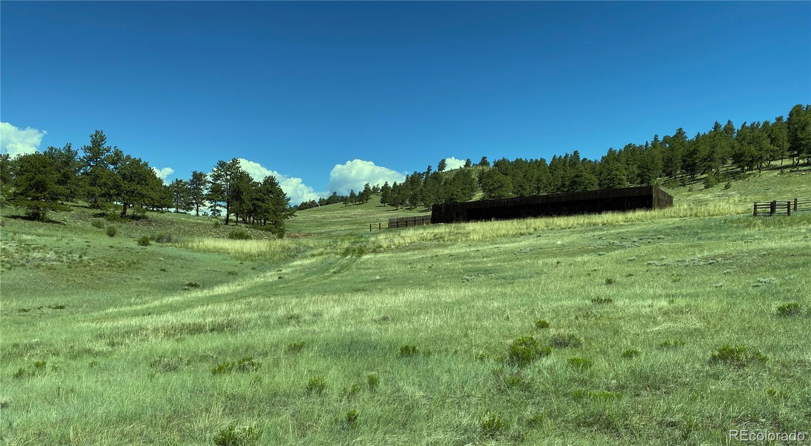 Co-9 Fairplay, CO 80440 - Photo 4 of 13 a view of grassy field with trees