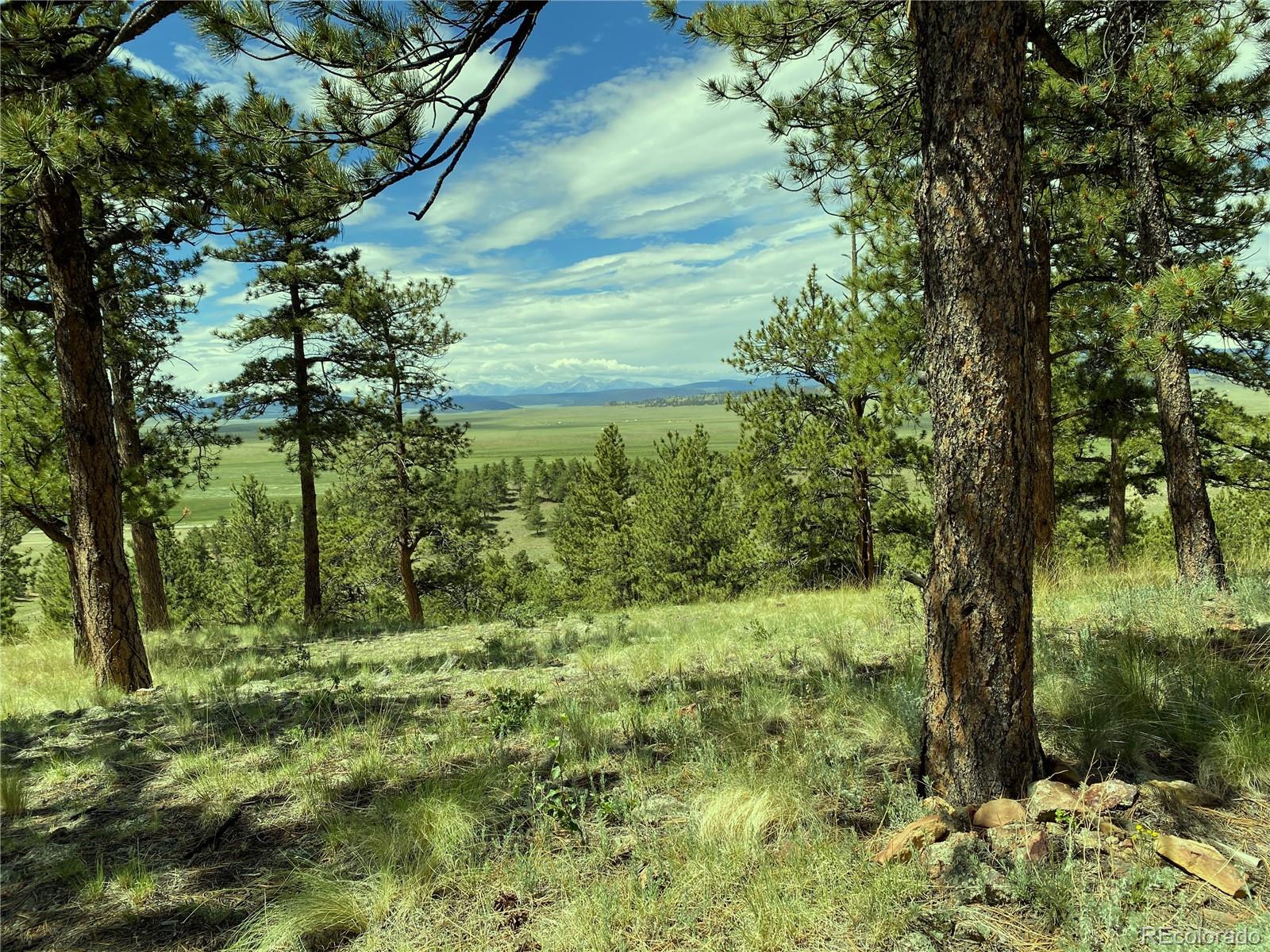 Co-9 Fairplay, CO 80440 - Photo 5 of 13 a view of a garden