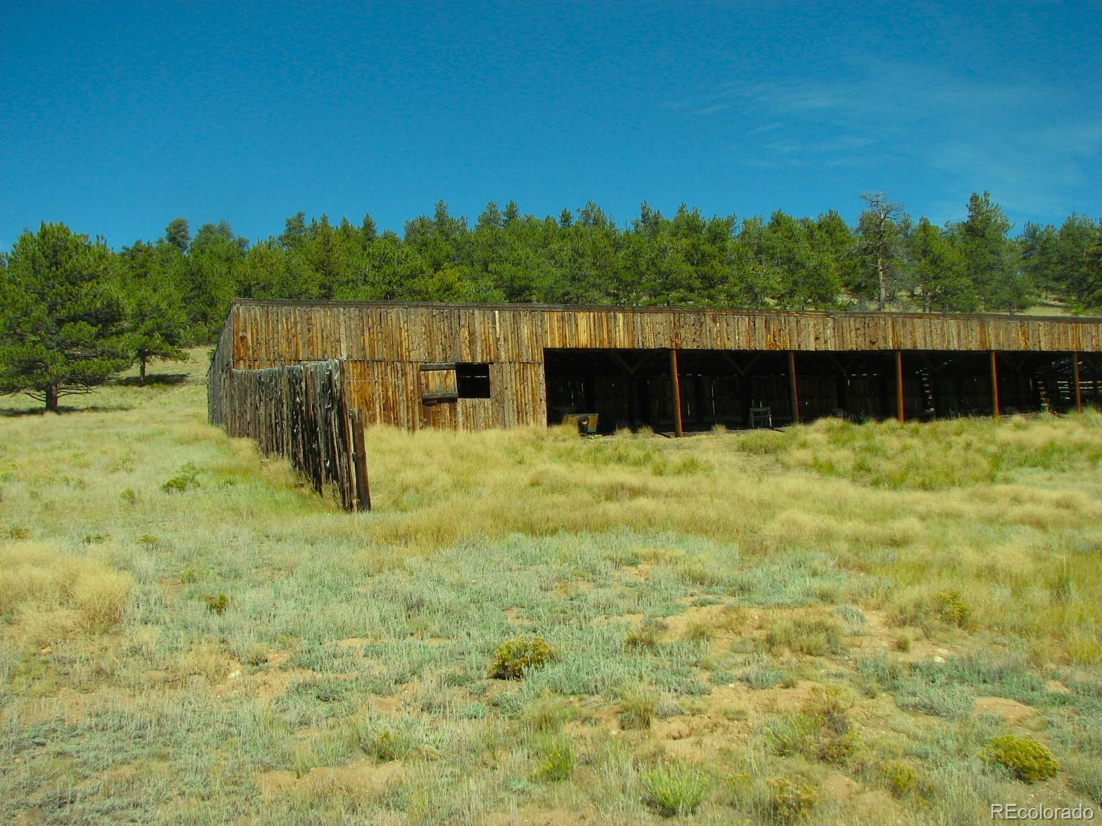 Co-9 Fairplay, CO 80440 - Photo 6 of 13 a swimming pool with trees in the background