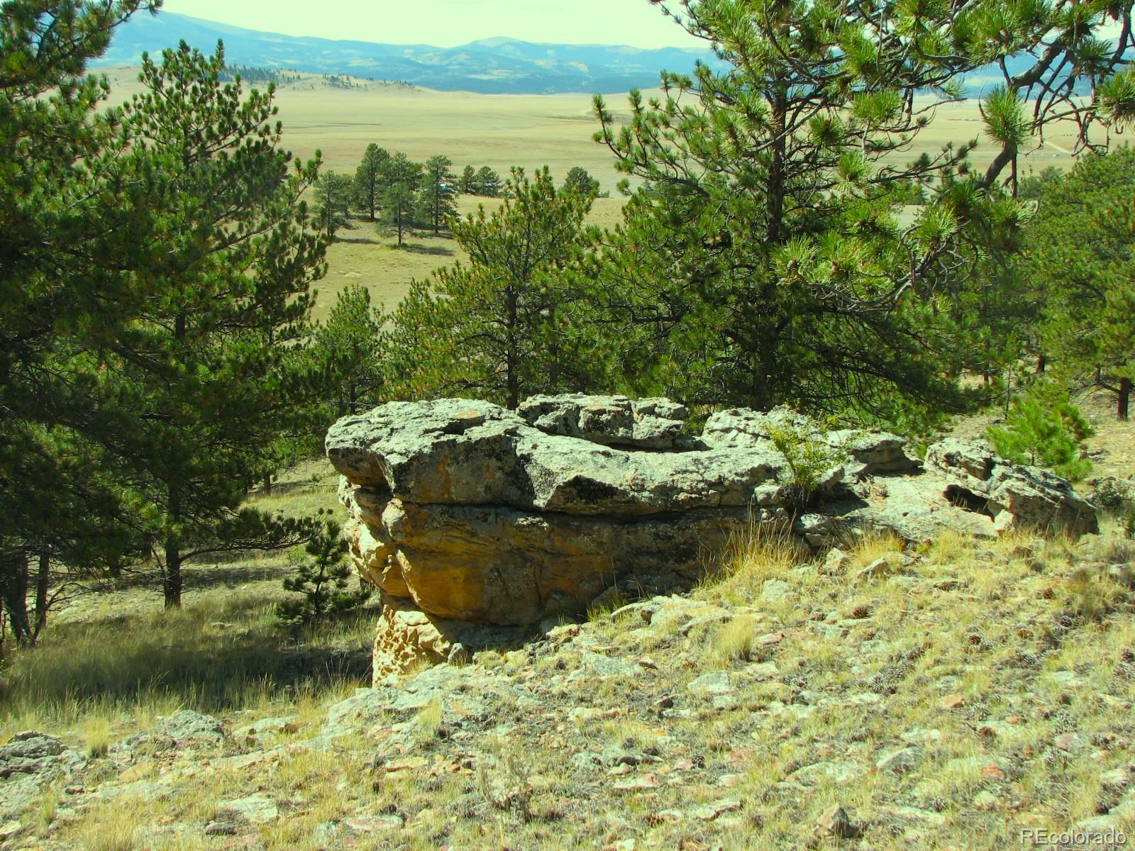Co-9 Fairplay, CO 80440 - Photo 8 of 13 a view of lake with mountain