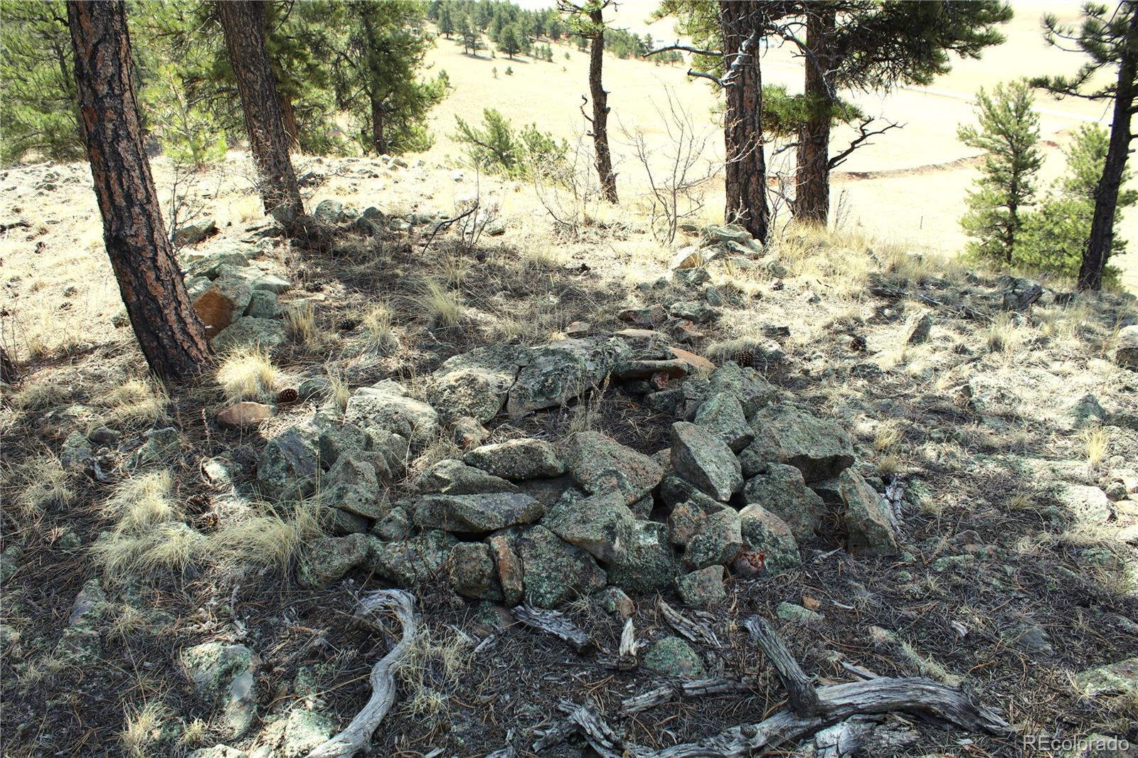 Co-9 Fairplay, CO 80440 - Photo 10 of 13 a view of a yard with a tree