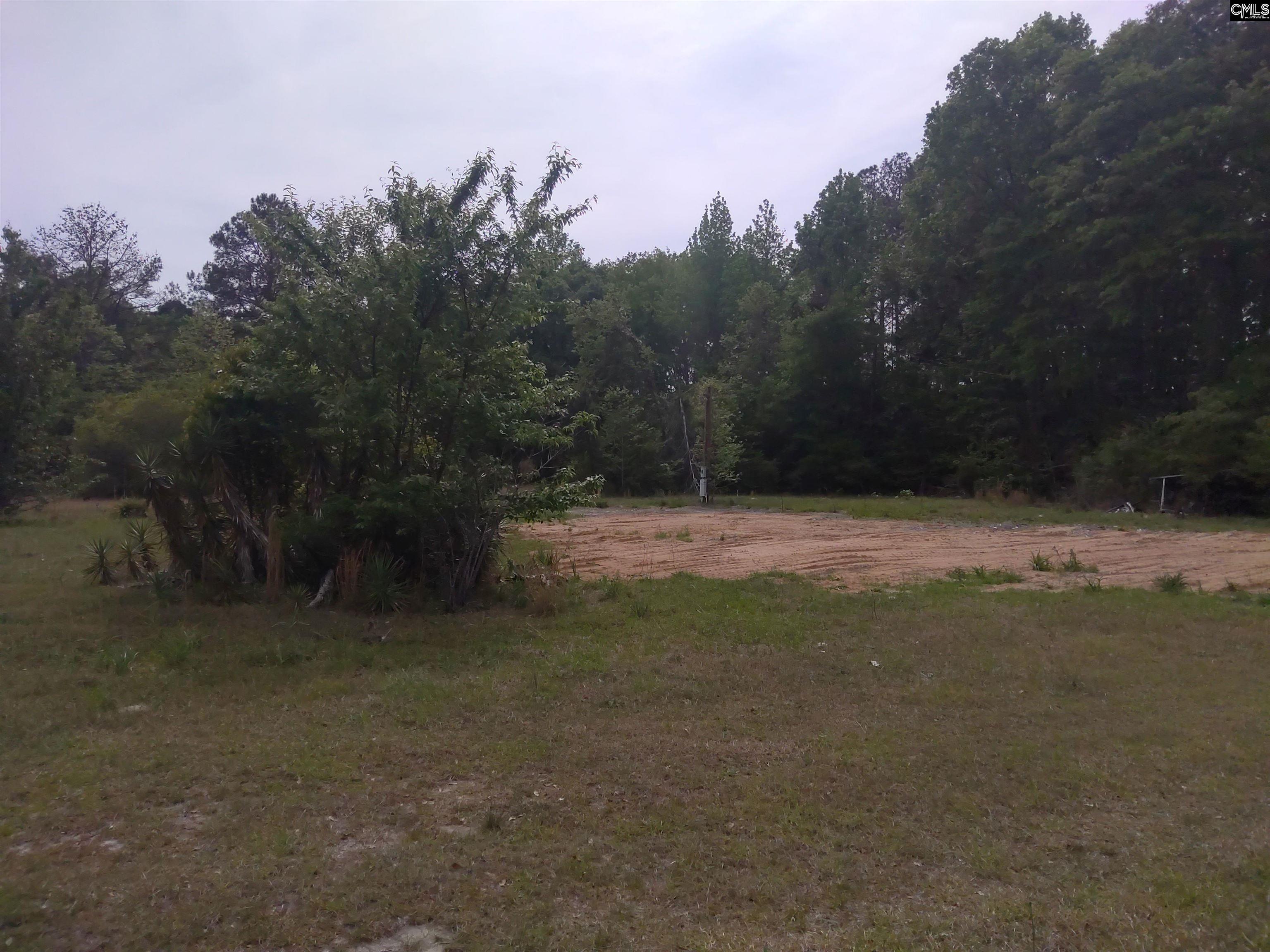 242 Ault Road Hopkins, SC 29061 - Photo 7 of 15