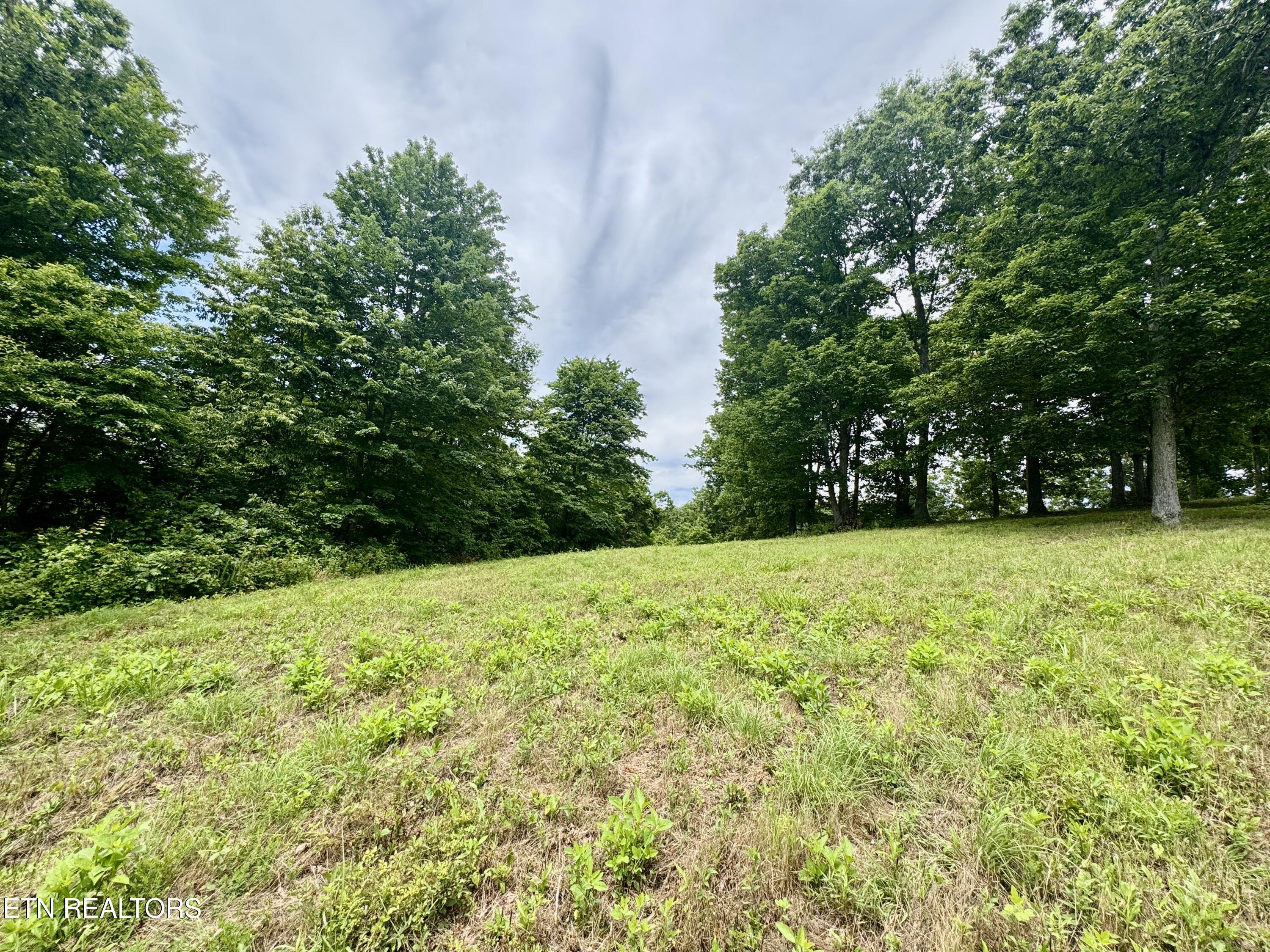 378 Johnson Hollow Road New Tazewell, TN 37825 - Photo 15 of 35 1-15